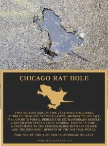 A patch in concrete shaped like a spread-eagle rat is shown above a plaque reading “CHICAGO RAT HOLE” with a description linking the shape to a squirrel’s fall, commemorated by the Riot Fest Historical Society.