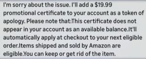 Text on screen apologizes for an issue and offers a $19.99 promotional certificate that will auto-apply at checkout on the next eligible Amazon order; it does not appear as an available balance.