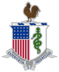 AMEDD insignia