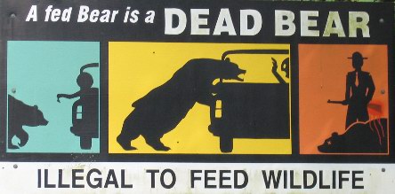 A warning sign shows: “A fed Bear is a DEAD BEAR. ILLEGAL TO FEED WILDLIFE.” It includes cartoon images of a bear being fed by a person in a car, a bear reaching into a car toward a terrified passenger, and a ranger with a gun standing over a dead bear.