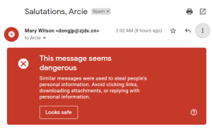 A giant red banner that gmail put atop the email reads, 'This message seems dangerous', with details as to why.
