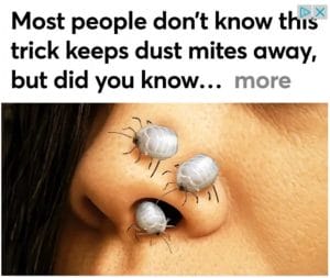 Close-up of a persons nose with three illustrated dust mites crawling on a woman's nose and around her nostrils. Text above reads, 'Most people don’t know this trick keeps dust mites away, but did you know... [more]'
