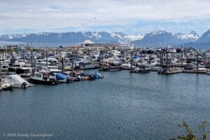 A busy marina filled with boats and yachts, with snow-capped mountains and a cloudy sky in the background. The water is calm and numerous docks are visible throughout the harbor. In the background, a smallish cruise ship is docked. Our ship.