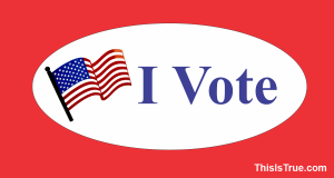 Oval sticker with a waving American flag and the words “I Vote” in blue text on a white background, set against a red border.