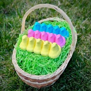 A basket brimming with green Easter grass holds rows of marshmallow Peeps chicks in yellow, pink, and blue, resting on grass in an outdoor setting.