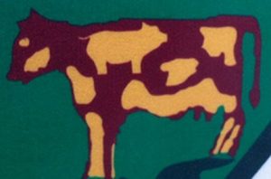 A graphic illustration showing a cow with uneven yellow and brown patches standing against a green background.
