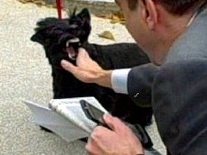 A small black dog snarls and bares its teeth at a person in a suit who is reaching out with one hand while holding a phone and a newspaper in the other. The scene takes place outdoors.