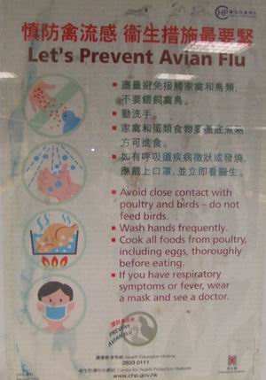 Avian Flu Poster