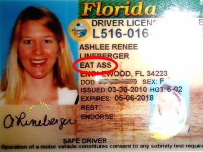 Ashlee Lineberger's official Floriduh driver's license