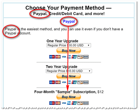 The button, clearly noting it's through Paypal